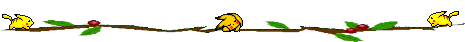 Memo Pikachu header