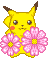 Pikachu 19