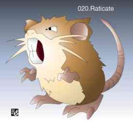 Raticate