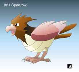 Spearow